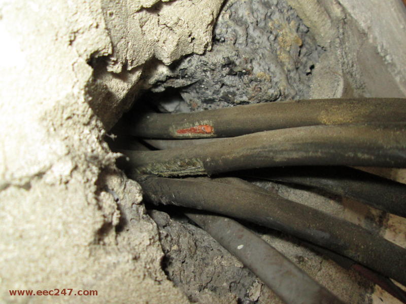 picture of rubber covered electrical cable with rodent (rat or large mouse) damage run in wall cavity