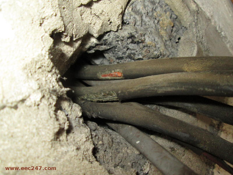 Damage to Electrical Cables by Rodents