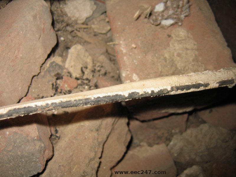 picture of white PVC covered electrical cable, damaged by rodents