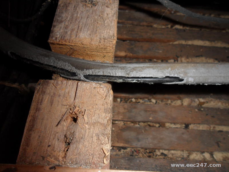 picture of PVC covered main electrical cable with rodent (rat or large mouse) damage to the insulation in a confined space